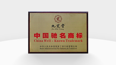 中国驰名商标