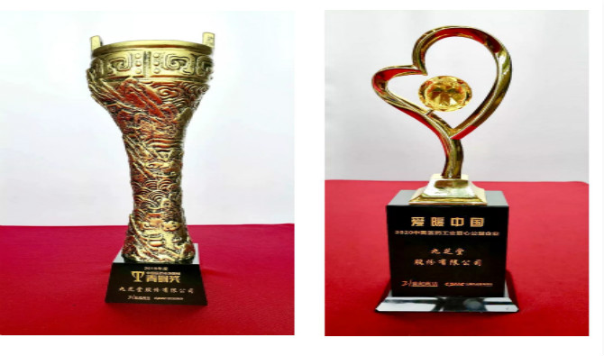 热烈祝贺九芝堂荣获2019年度中国医药市场营销青铜奖，与“爱暖中国――2020中国医药工业爱心公益企业”称号！